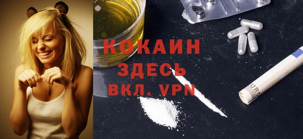 гашик Майский